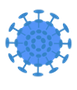 Virus 2 pour site